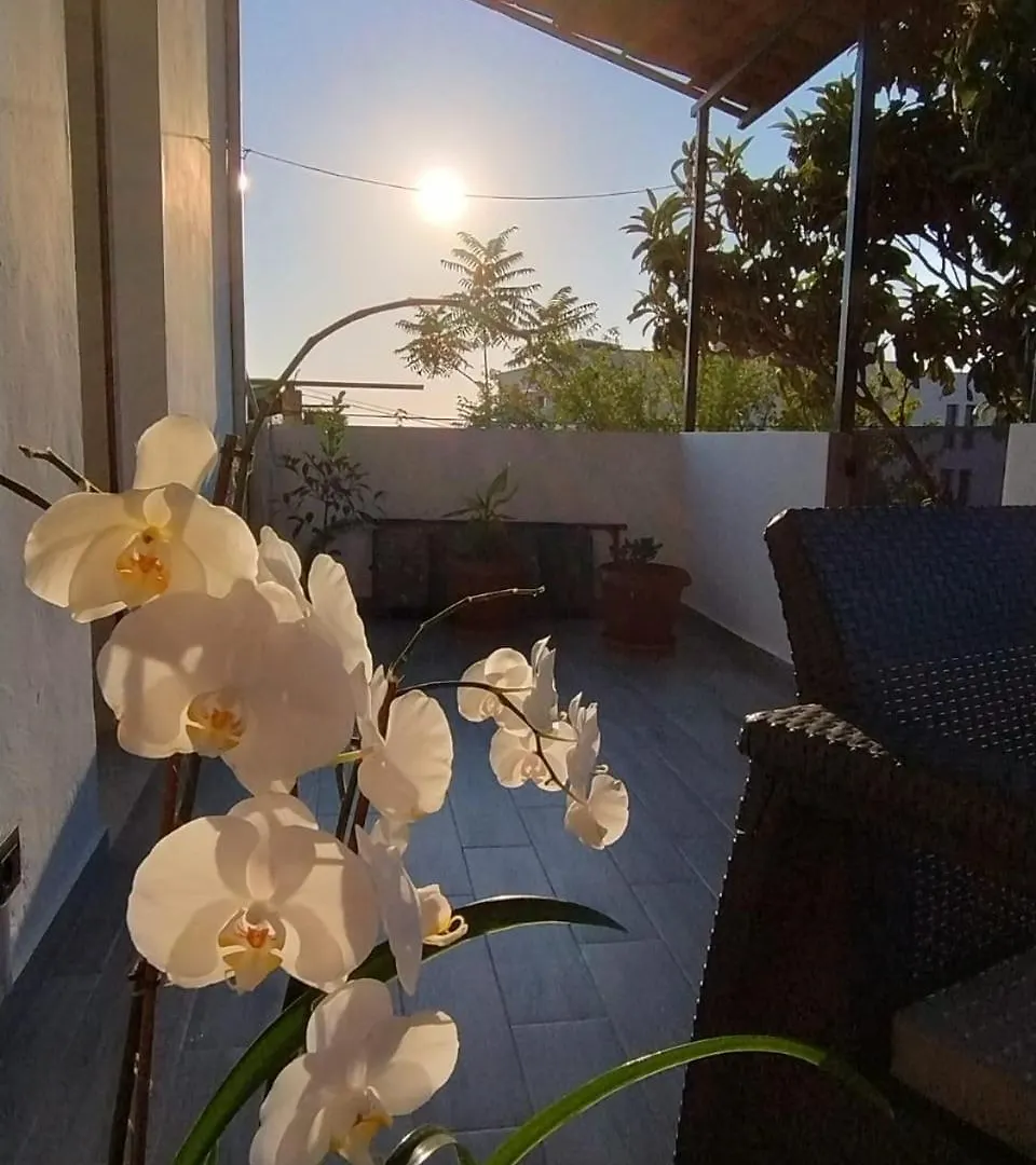 Vila Kurti Vlore