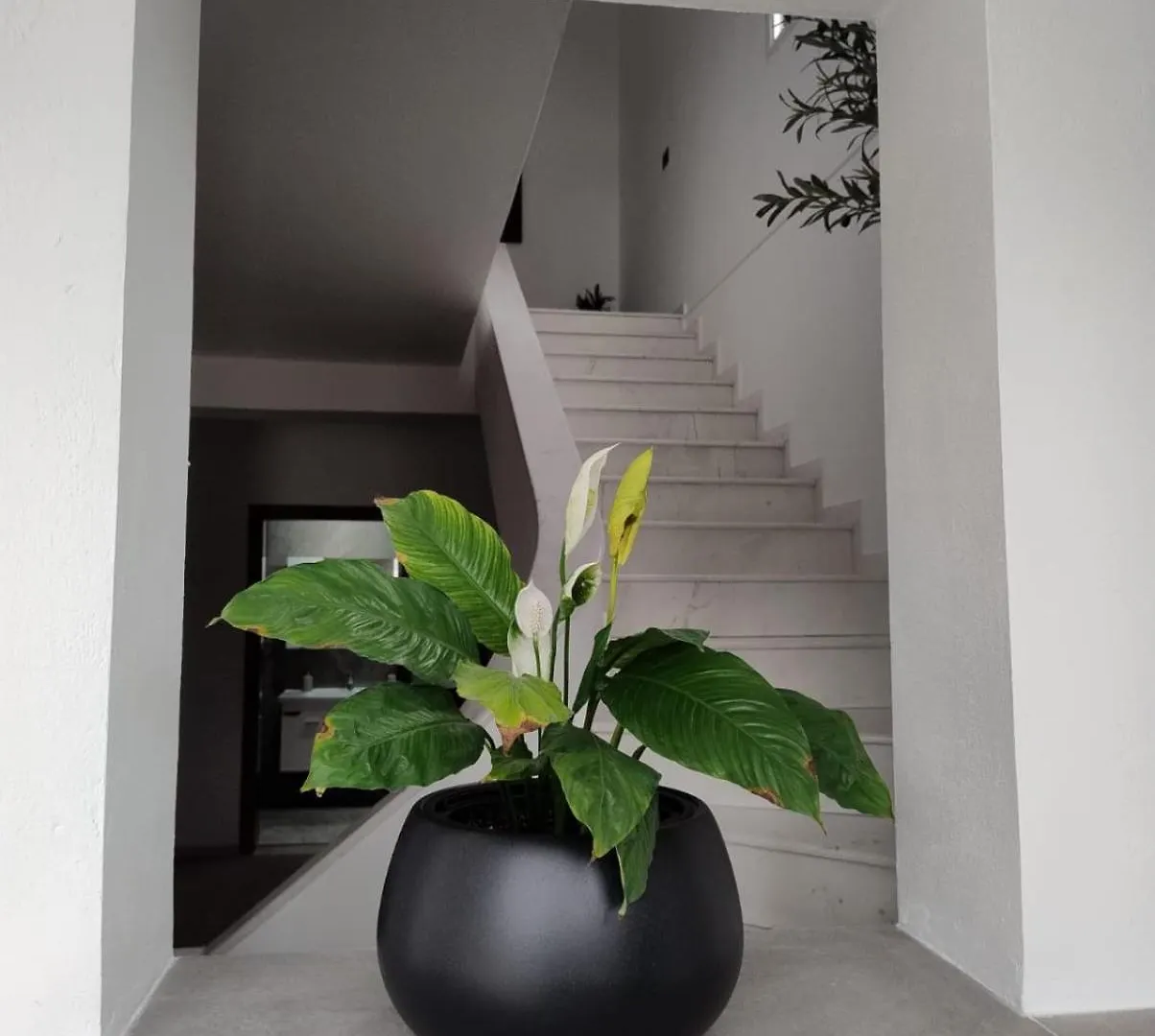 Villa Vila Kurti Vlore Albania